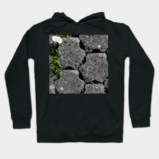 Between the stones 1 Hoodie